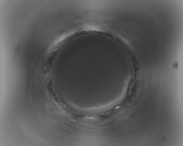 X0000110961303200907022212