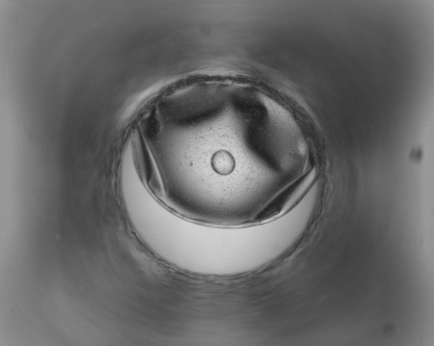 X0000110961304200907022212