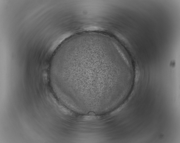 X0000110961305200907022212