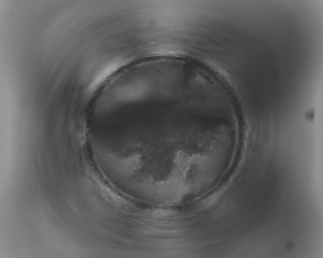 X0000110961306200907022212