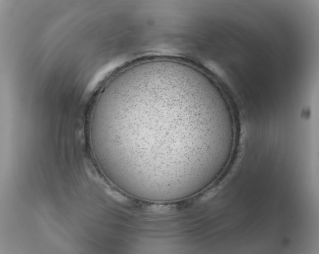 X0000110961307200907022212