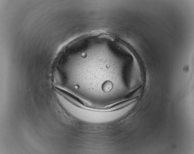 X0000110961308200907022212