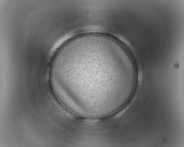 X0000110961309200907022212