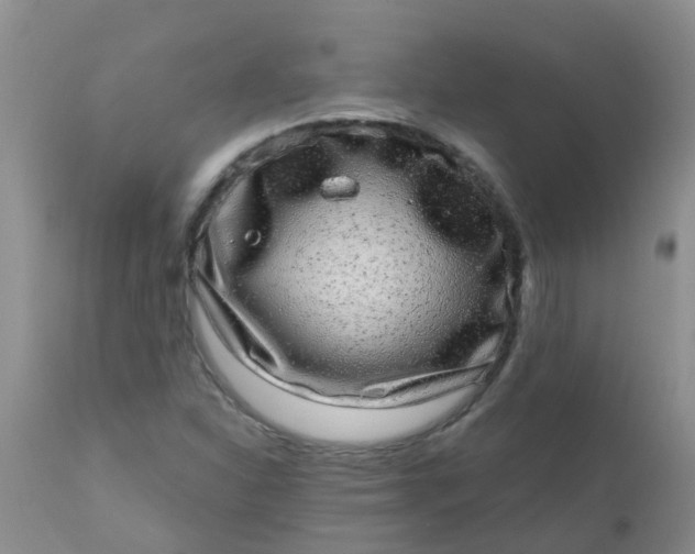 X0000110961310200907022212