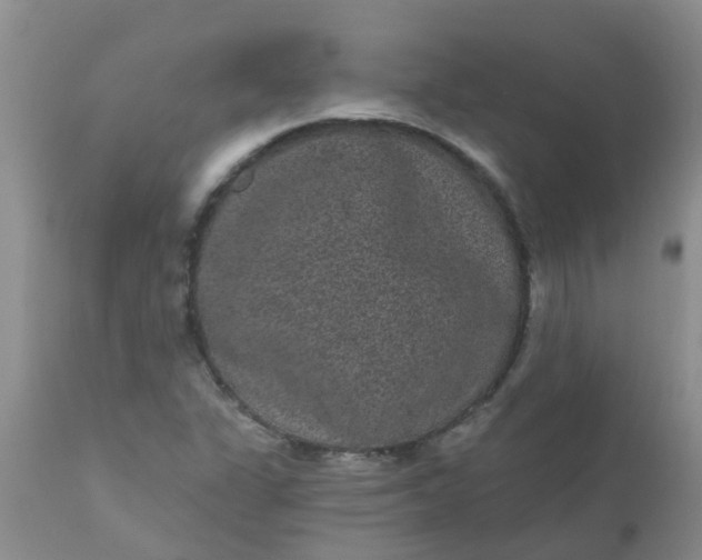 X0000110961311200907022212