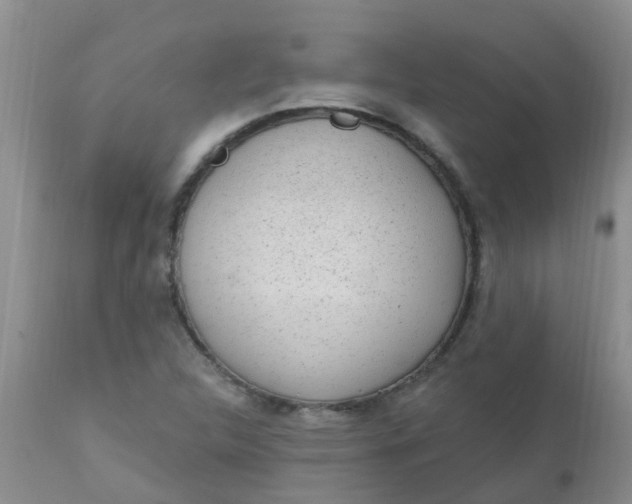 X0000110961312200907022212