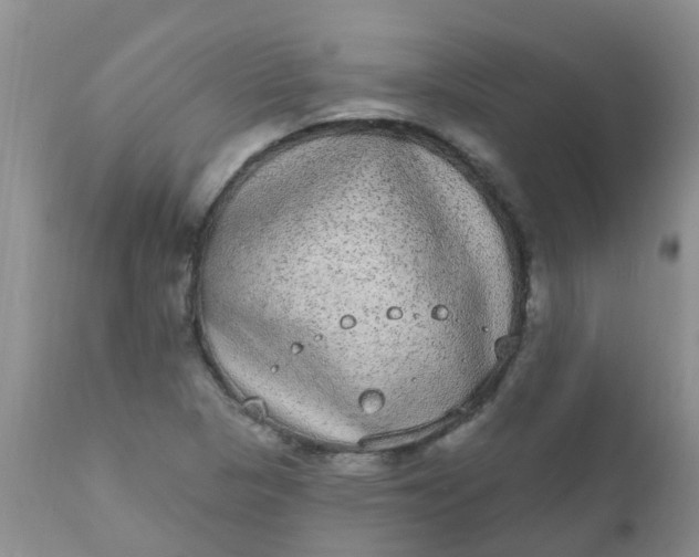 X0000110961313200907022212