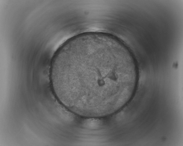 X0000110961314200907022212