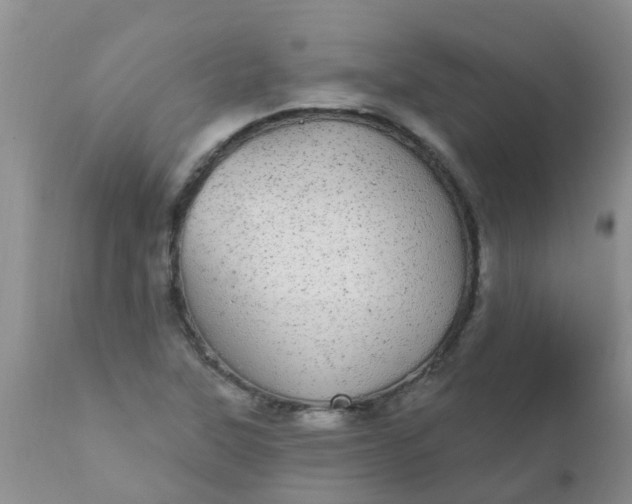 X0000110961315200907022212