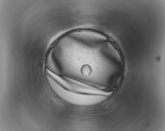 X0000110961316200907022212