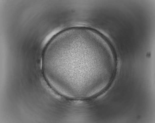 X0000110961317200907022212