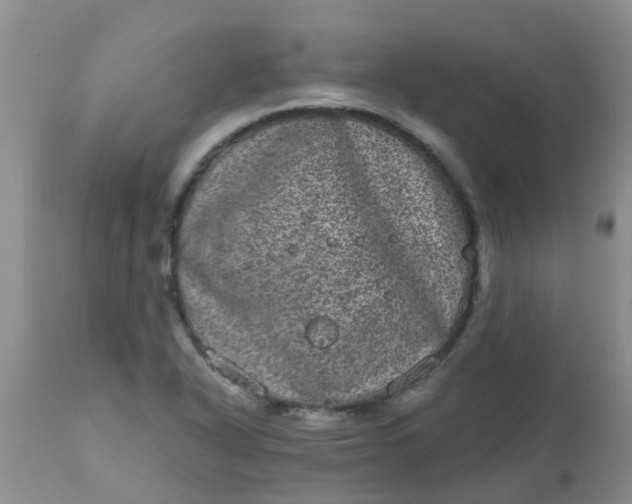 X0000110961318200907022212