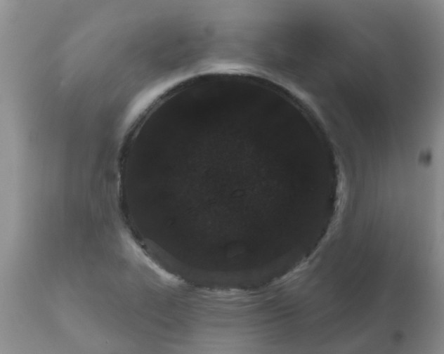 X0000110961319200907022212