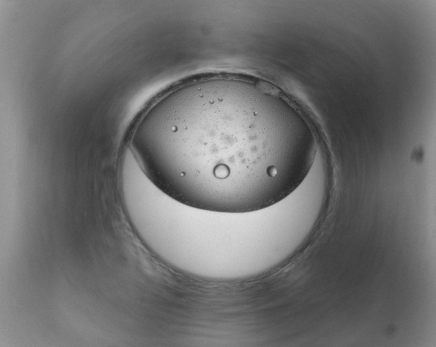 X0000110961320200907022212