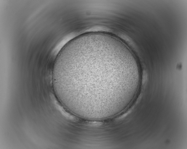 X0000110961321200907022212