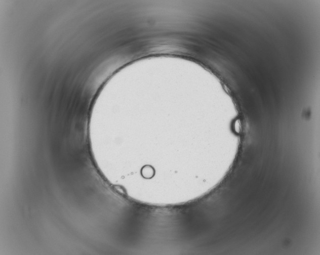 X0000110961322200907022212