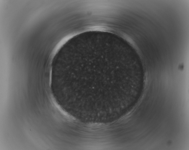 X0000110961323200907022212