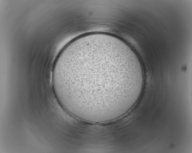 X0000110961324200907022212