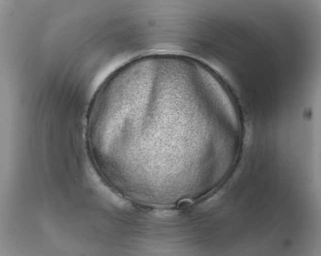 X0000110961325200907022212