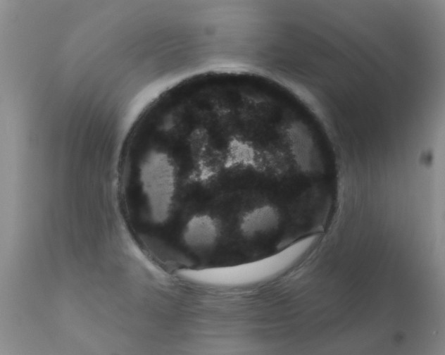 X0000110961327200907022212