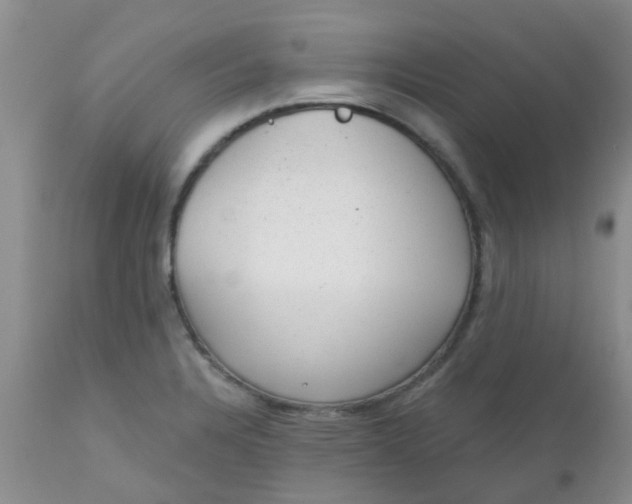 X0000110961328200907022212