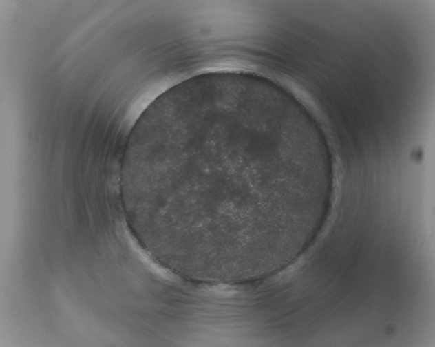 X0000110961329200907022212