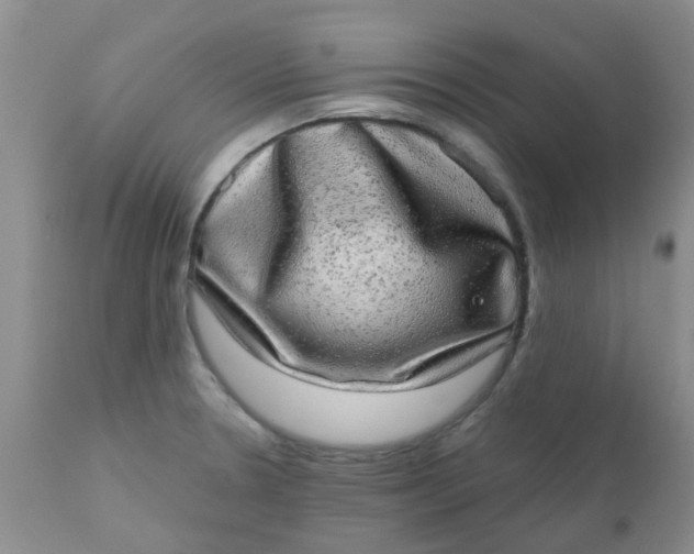 X0000110961330200907022212