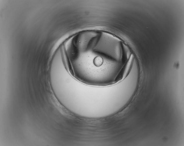 X0000110961332200907022212