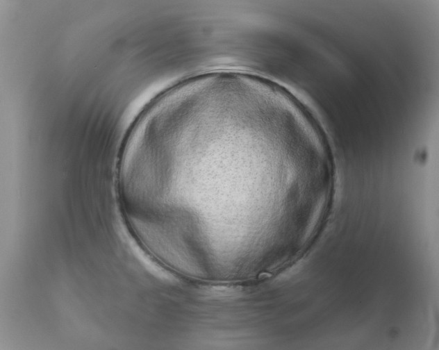 X0000110961333200907022212