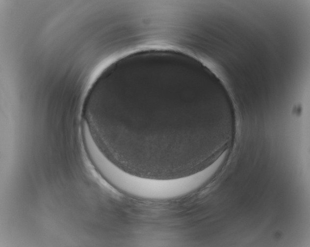 X0000110961334200907022212