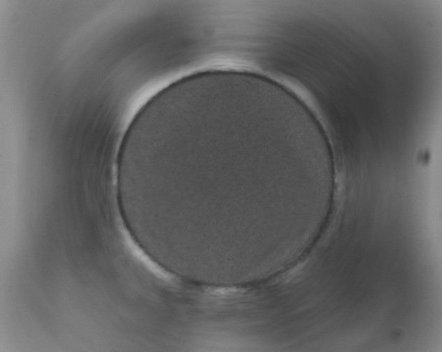 X0000110961335200907022212