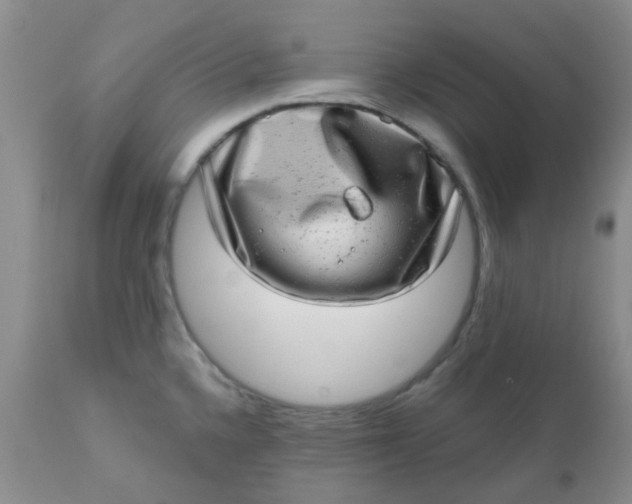 X0000110961336200907022212