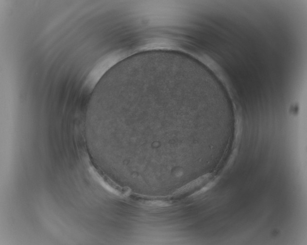 X0000110961337200907022212