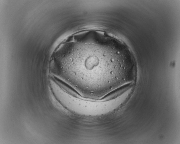 X0000110961338200907022212