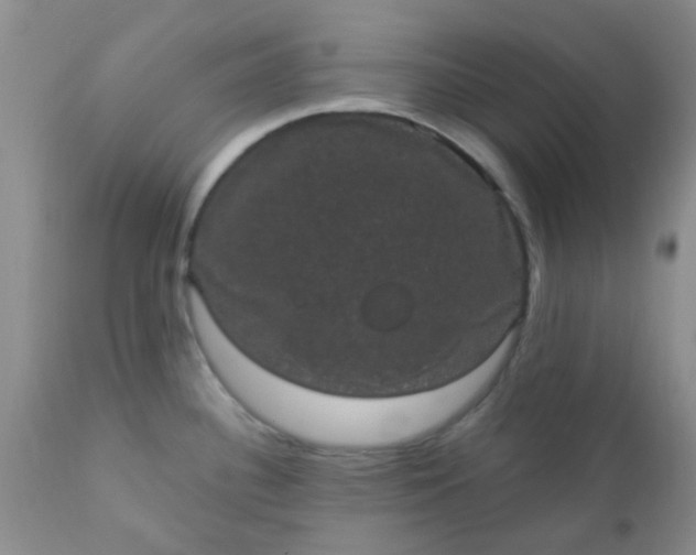 X0000110961340200907022212