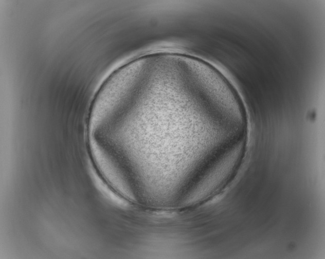 X0000110961341200907022212