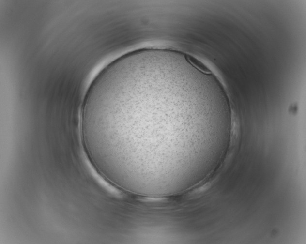 X0000110961343200907022212