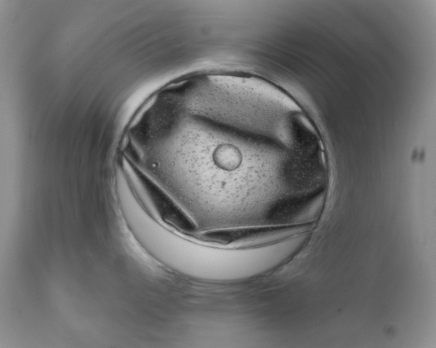 X0000110961344200907022212