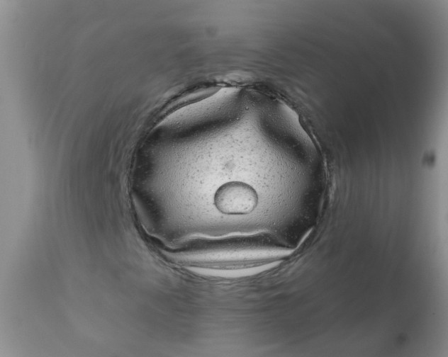 X0000110961345200907022211