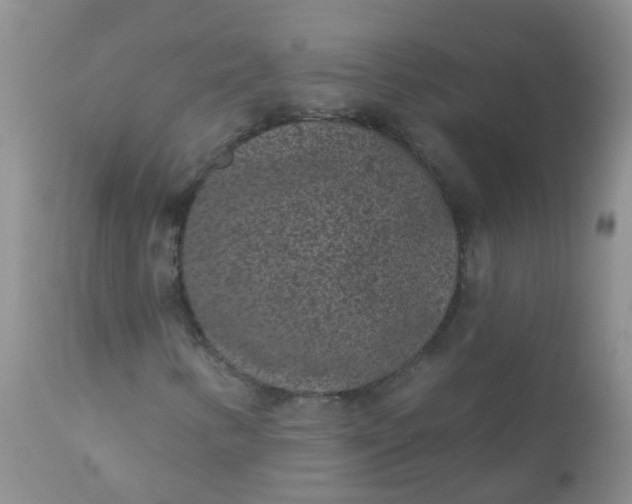 X0000110961346200907022211