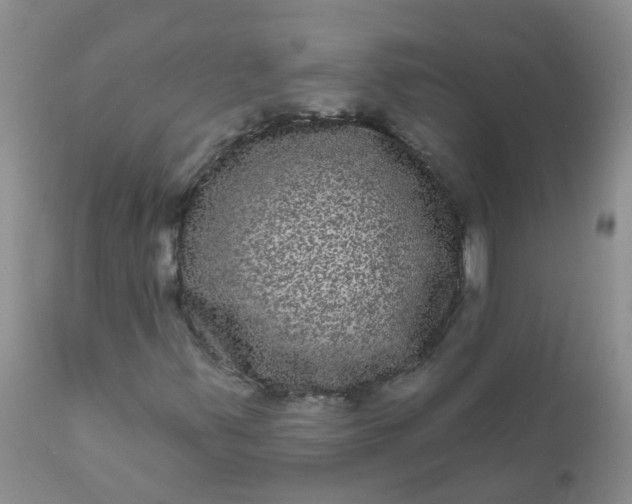 X0000110961347200907022211