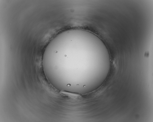 X0000110961348200907022211