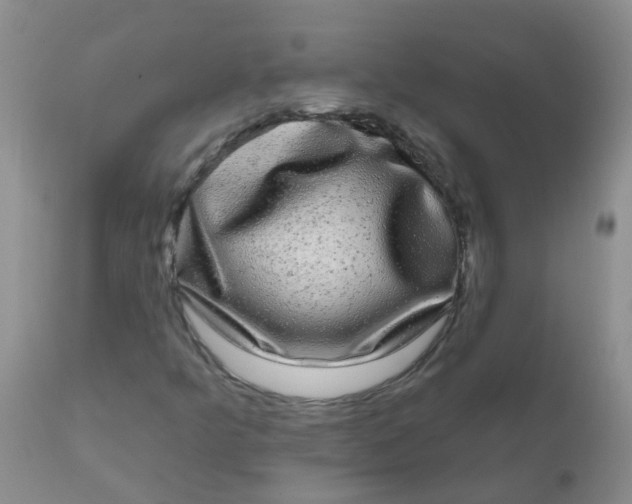 X0000110961349200907022211