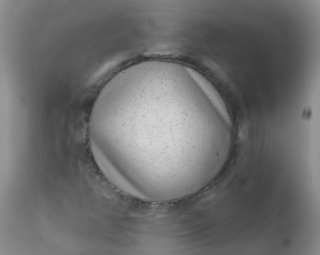 X0000110961350200907022211