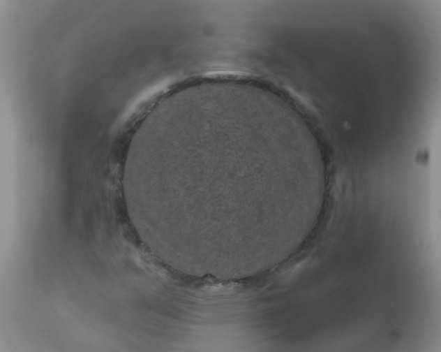 X0000110961351200907022211