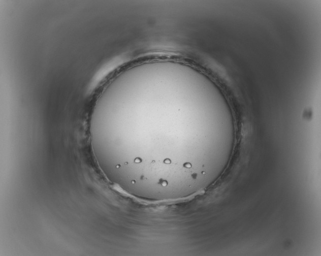 X0000110961352200907022211