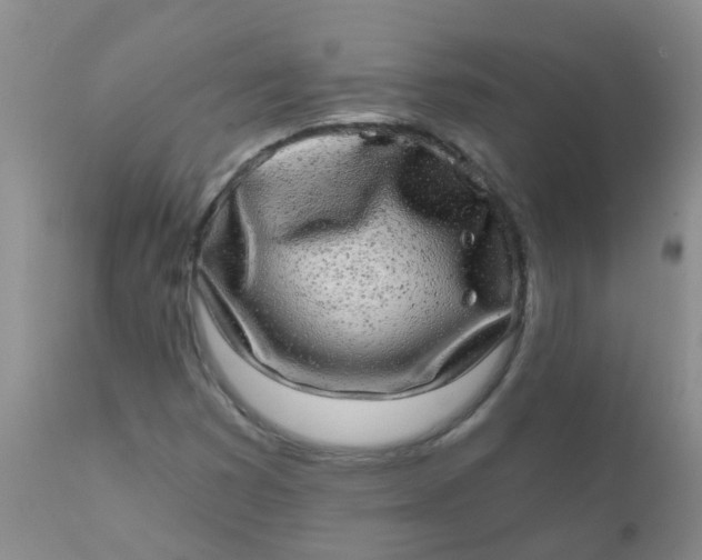 X0000110961353200907022211