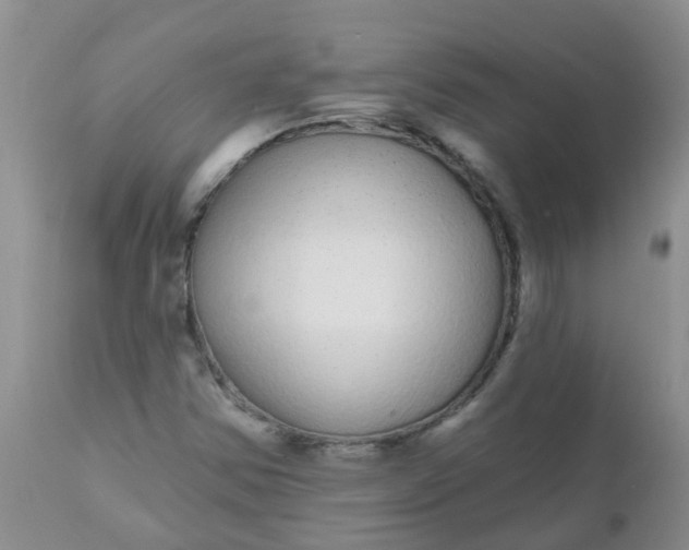 X0000110961354200907022211