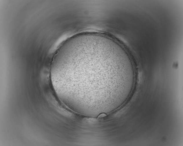 X0000110961355200907022211