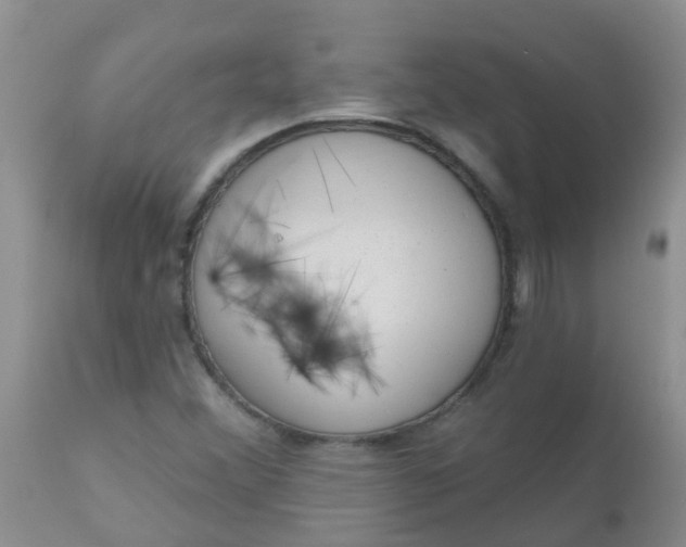 X0000110961356200907022211